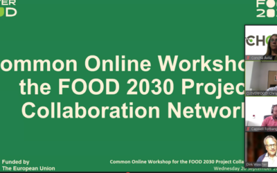 CLEVERFOOD – Common Workshop for the FOOD 2030 Project Collaboration Network