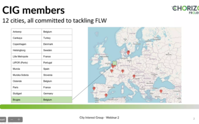 ICLEI celebrated the 2nd webinar of the City Interest Group!