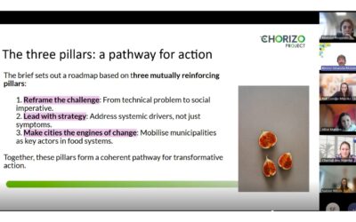 Final Webinar of the CIG: Priorities for food waste prevention in cities